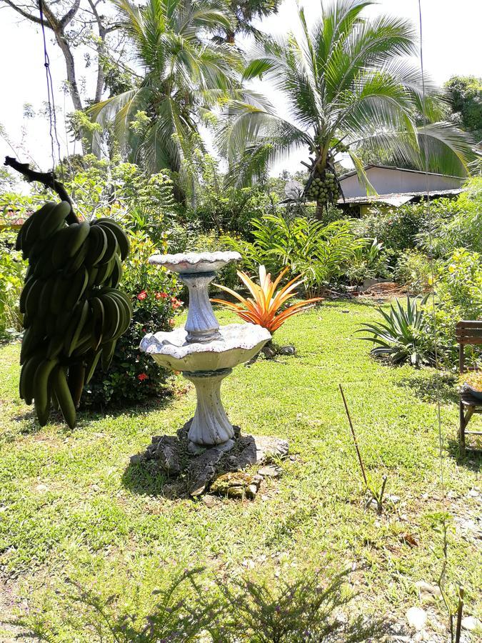 Secret Garden Hotel Cahuita Buitenkant foto