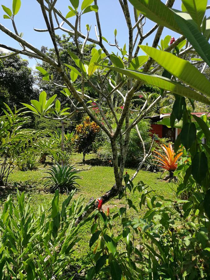 Secret Garden Hotel Cahuita Buitenkant foto